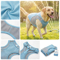 Luxury Silk Dog Scarf - Elegant Designer Pet Neckwear with Gold Accents
