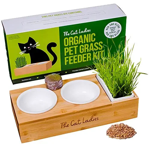 Organic Cat Grass Growing Kit - Natural Hairball Relief for Indoor Cats