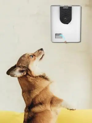 Smart Pet Camera with Treat Tossing & 2-Way Audio