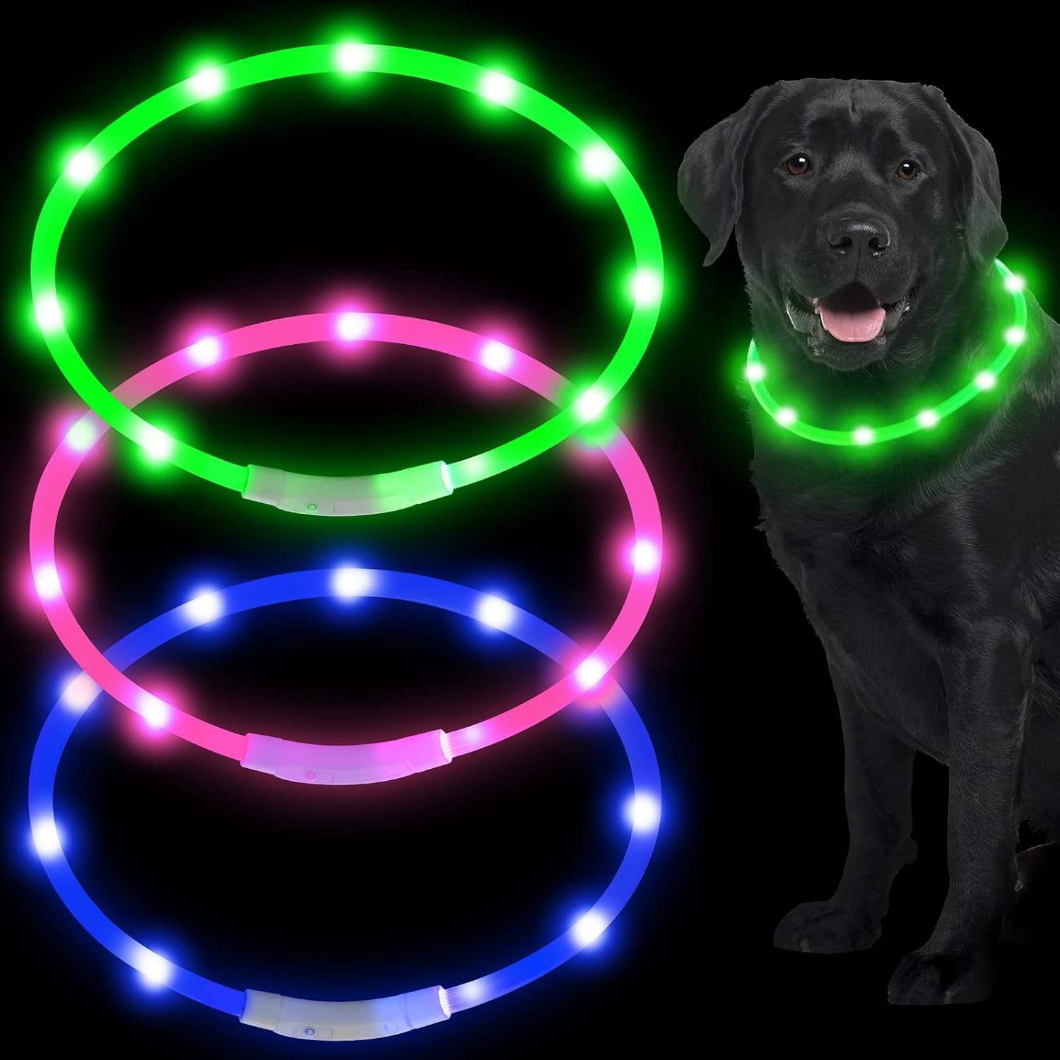LED Glow USB Rechargeable High-Visibility Dog Collar