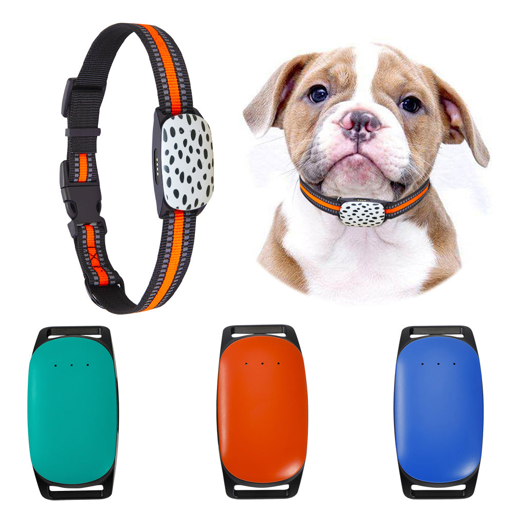 GPS Pet Tracker No Subscription Real-Time Tracking