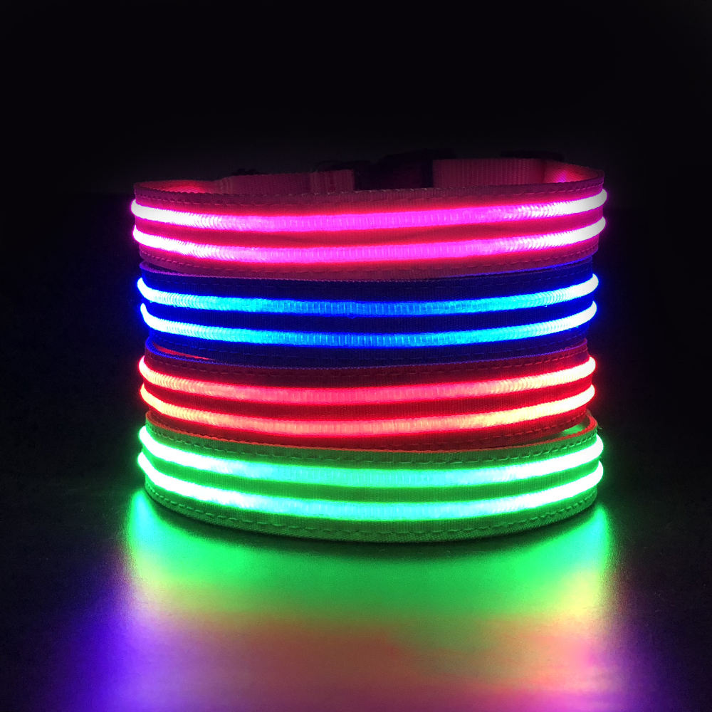 LED Glow USB Rechargeable High-Visibility Dog Collar