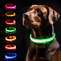 LED Glow USB Rechargeable High-Visibility Dog Collar