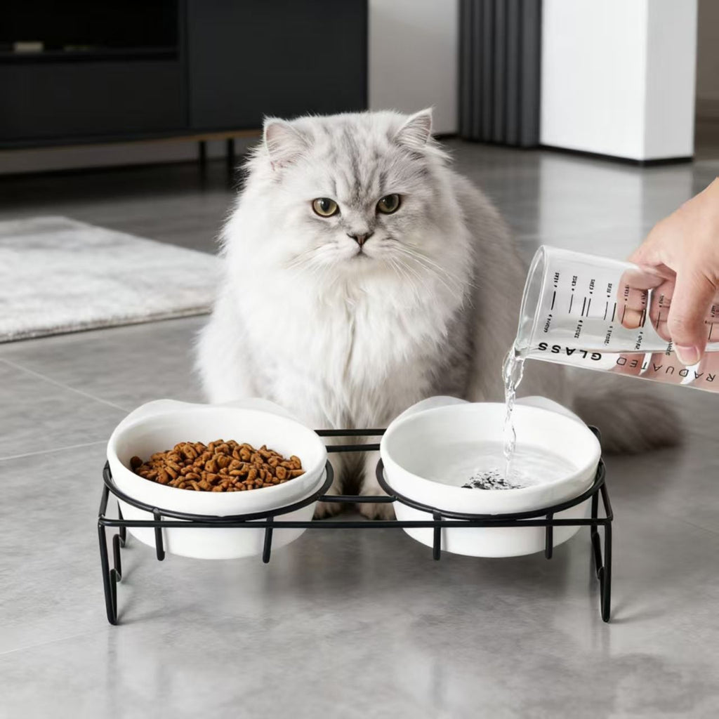Tilted Elevated Ceramic Cat Bowls (White Marble)