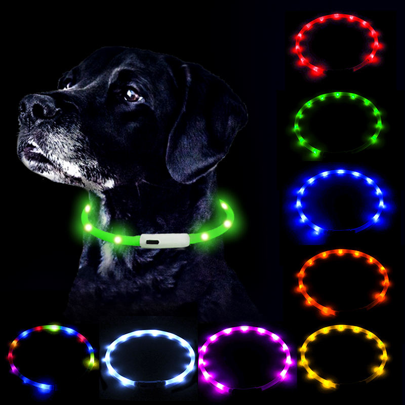 LED Glow USB Rechargeable High-Visibility Dog Collar