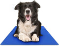 Pressure-Activated Pet Gel Cooling Mat