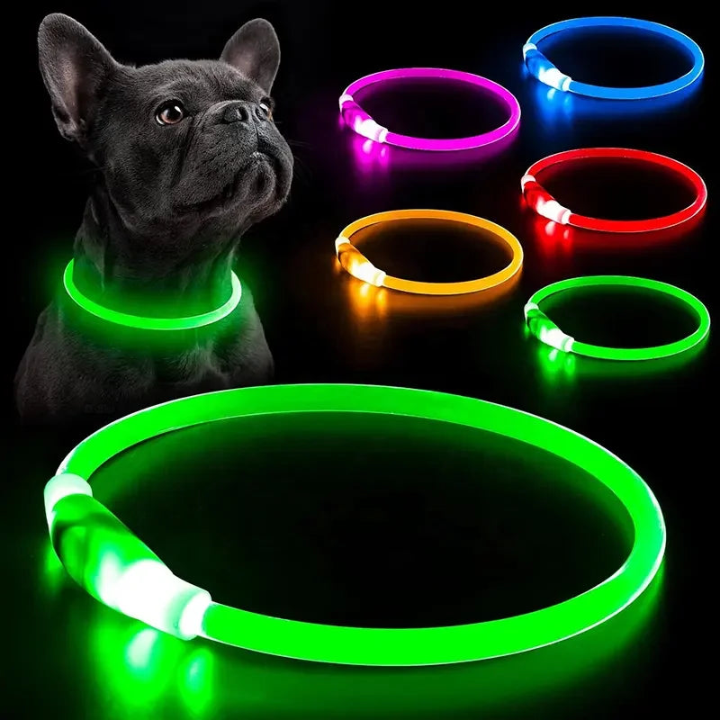 LED Glow USB Rechargeable High-Visibility Dog Collar