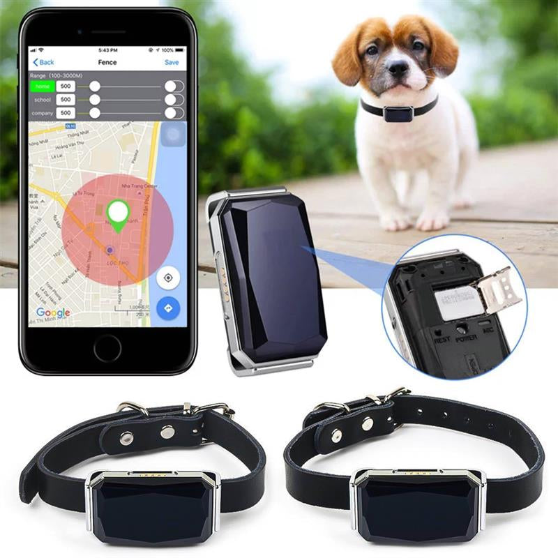 GPS Pet Tracker No Subscription Real-Time Tracking