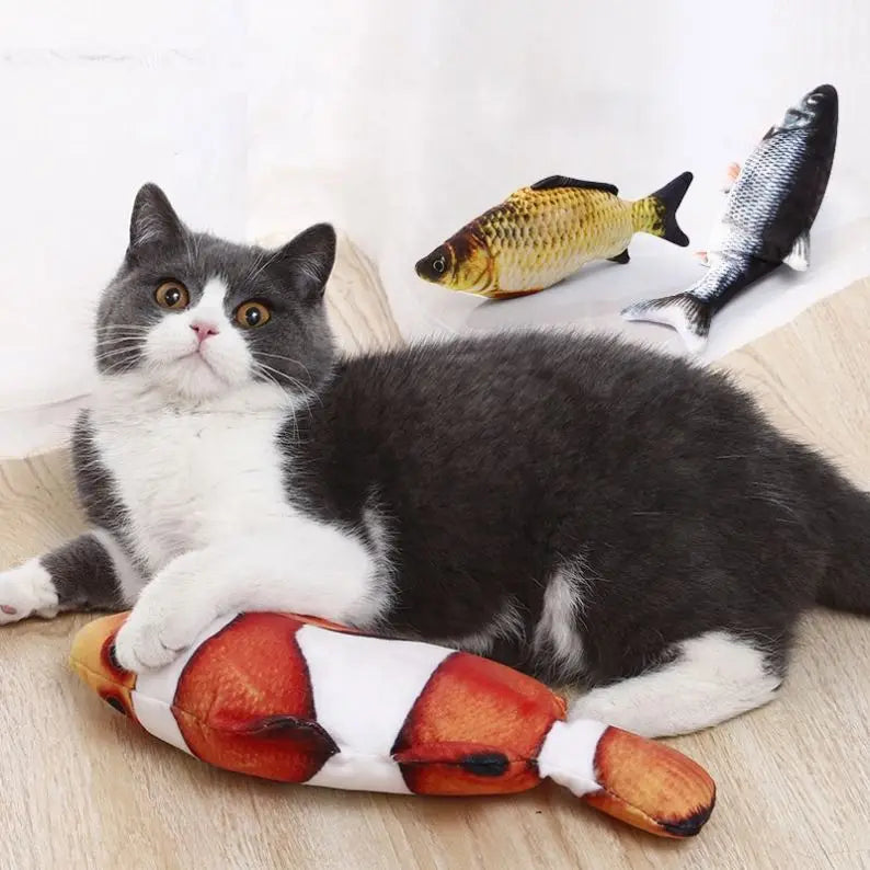 Electronic Interactive Floppy Fish Cat Toy (USB)